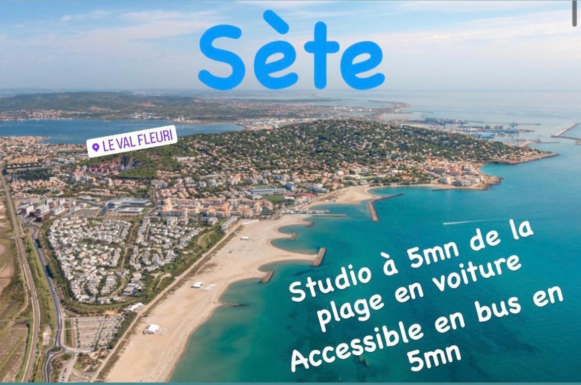 Magnifique Studio A Sete Proche Des Plages Eksteriør billede